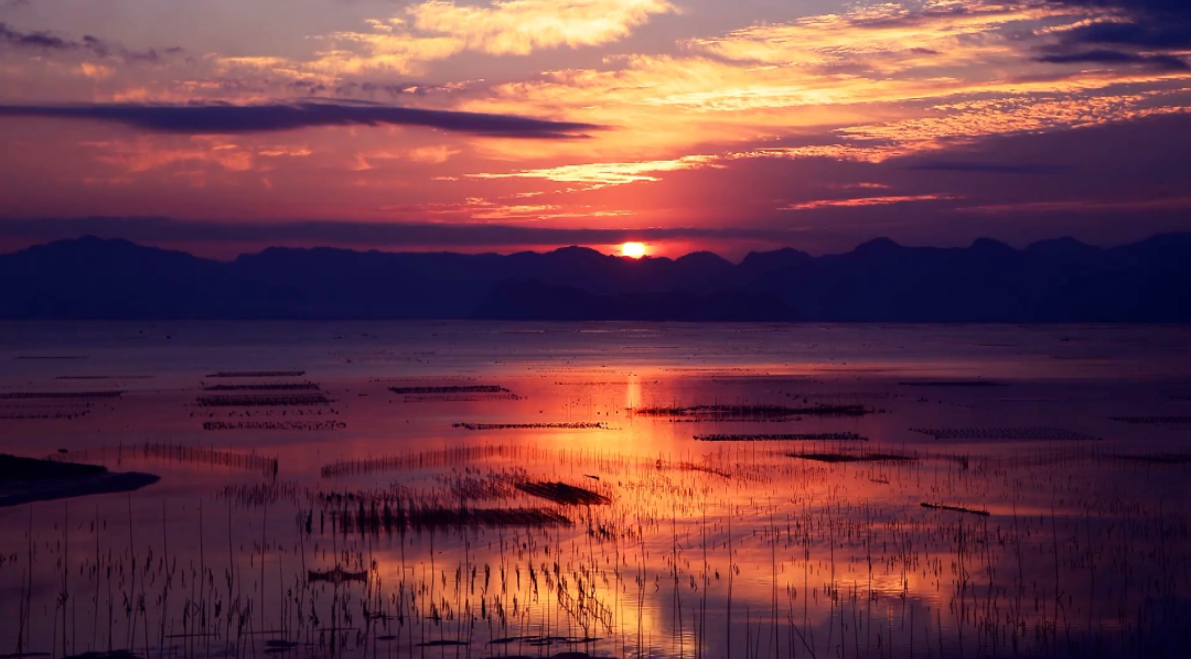 他最好的作品,就是把家乡之美推到了全世界的镜头前休闲区蓝鸢梦想 - Www.slyday.coM 他最好的作品,就是把家乡之美推到了全世界的镜头前休闲区蓝鸢梦想 - Www.slyday.coM