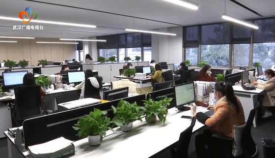 2021年全国纳税人满意度调查 武汉位列省会城市第六休闲区蓝鸢梦想 - Www.slyday.coM 2021年全国纳税人满意度调查 武汉位列省会城市第六休闲区蓝鸢梦想 - Www.slyday.coM