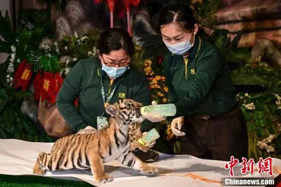 1.23 周日休闲区蓝鸢梦想 - Www.slyday.coM 1.23 周日休闲区蓝鸢梦想 - Www.slyday.coM