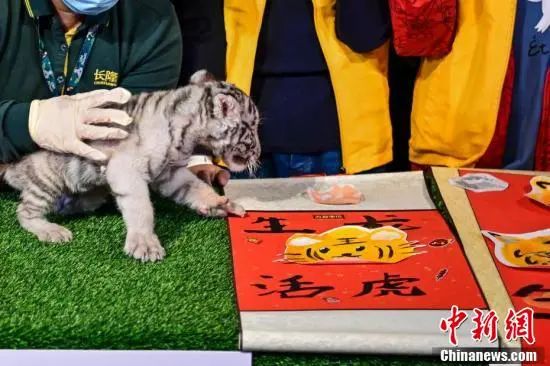 1.23 周日休闲区蓝鸢梦想 - Www.slyday.coM 1.23 周日休闲区蓝鸢梦想 - Www.slyday.coM