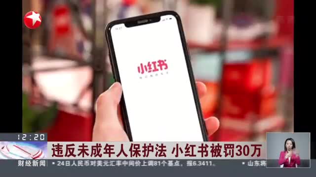 违反未成年人保护法小红书被罚30万