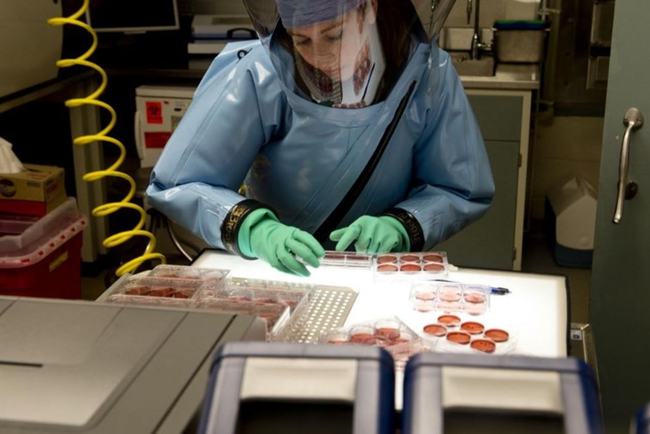 4只实验用猴外逃，凭啥让<a href=