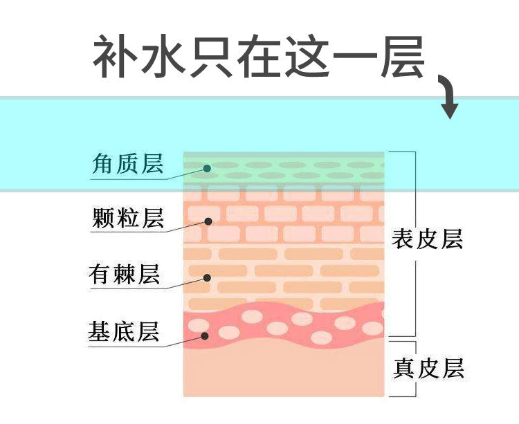 为什么越补水皮肤越干脸严重缺水用什么补水最有效揭秘