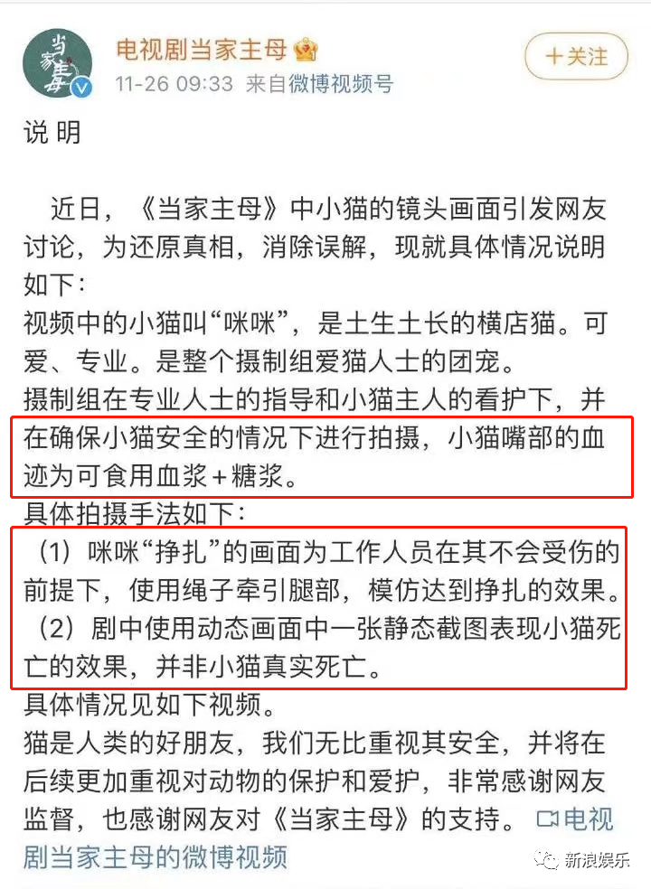 真相来了!警方通报:剧组因拍摄致猫死亡等事实不成立休闲区蓝鸢梦想 - Www.slyday.coM 真相来了!警方通报:剧组因拍摄致猫死亡等事实不成立休闲区蓝鸢梦想 - Www.slyday.coM