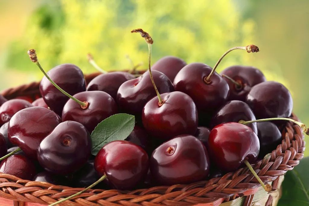 车厘子这么贵,和樱桃到底有啥区别?休闲区蓝鸢梦想 - Www.slyday.coM 车厘子这么贵,和樱桃到底有啥区别?休闲区蓝鸢梦想 - Www.slyday.coM