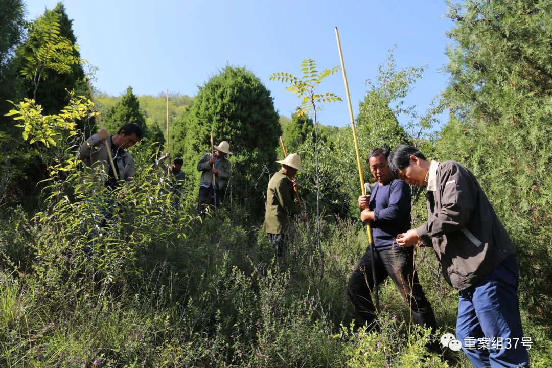 马永嬴（右一）带着工作人员在凤凰嘴山腰上勘探。图片来源：陕西省考古研究院 