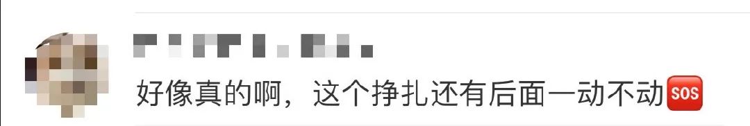 真相来了!警方通报:剧组因拍摄致猫死亡等事实不成立休闲区蓝鸢梦想 - Www.slyday.coM 真相来了!警方通报:剧组因拍摄致猫死亡等事实不成立休闲区蓝鸢梦想 - Www.slyday.coM