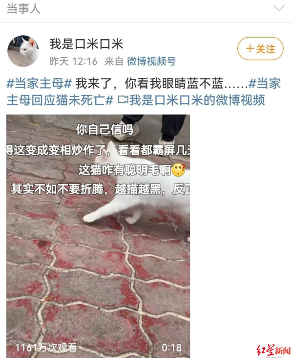 剧组因拍摄致猫死亡?警方通报:事实不成立!休闲区蓝鸢梦想 - Www.slyday.coM 剧组因拍摄致猫死亡?警方通报:事实不成立!休闲区蓝鸢梦想 - Www.slyday.coM