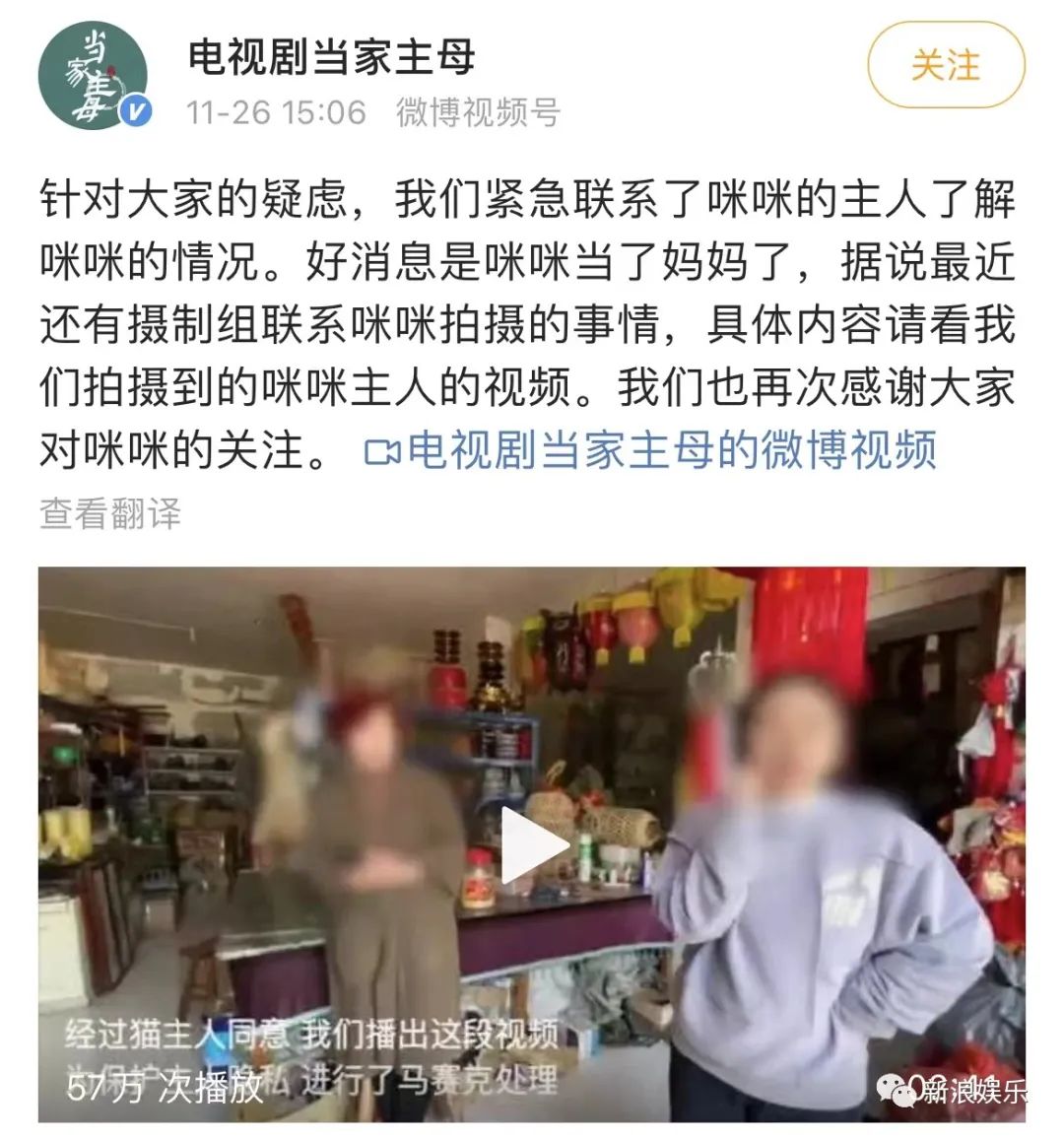 真相来了!警方通报:剧组因拍摄致猫死亡等事实不成立休闲区蓝鸢梦想 - Www.slyday.coM 真相来了!警方通报:剧组因拍摄致猫死亡等事实不成立休闲区蓝鸢梦想 - Www.slyday.coM
