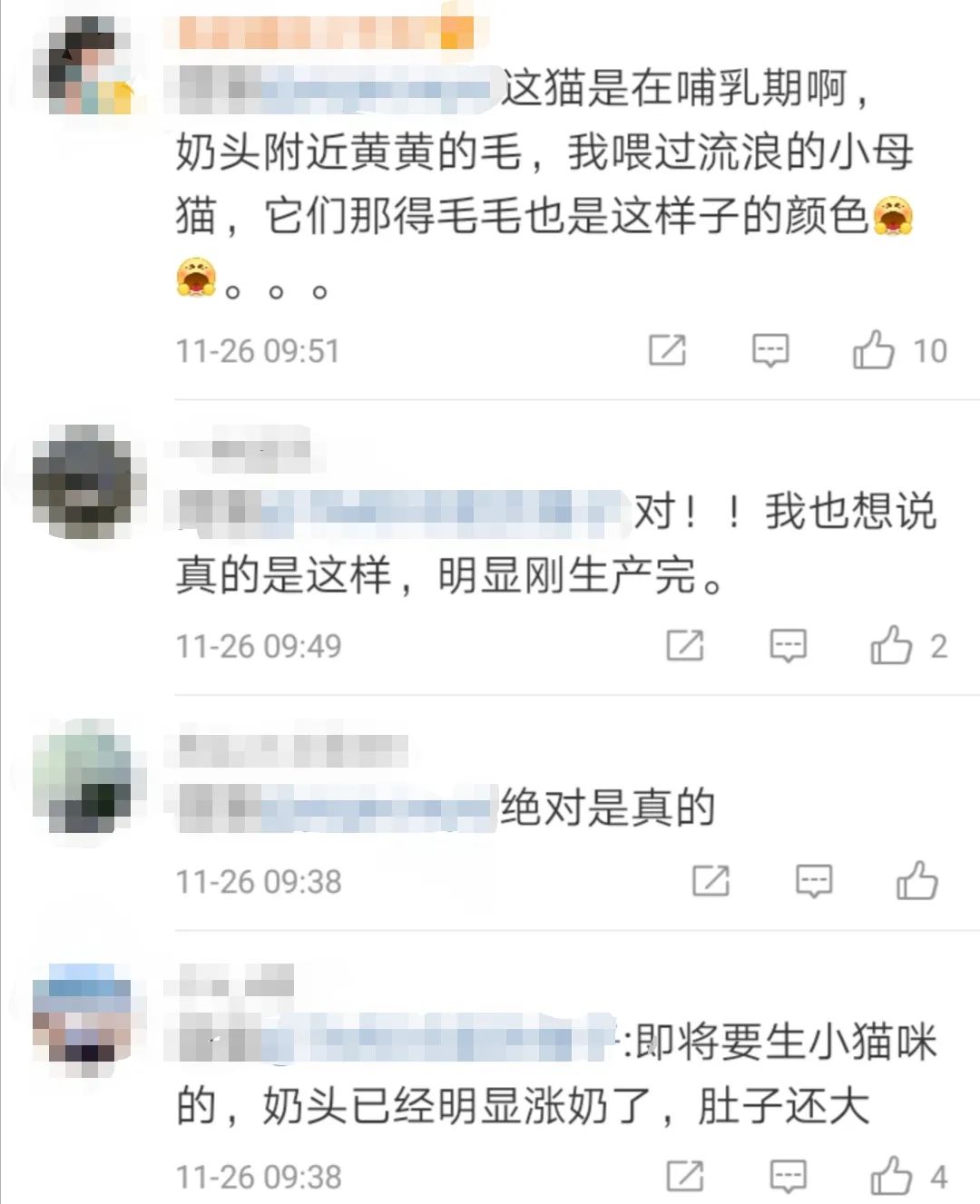 真相来了!警方通报:剧组因拍摄致猫死亡等事实不成立休闲区蓝鸢梦想 - Www.slyday.coM 真相来了!警方通报:剧组因拍摄致猫死亡等事实不成立休闲区蓝鸢梦想 - Www.slyday.coM