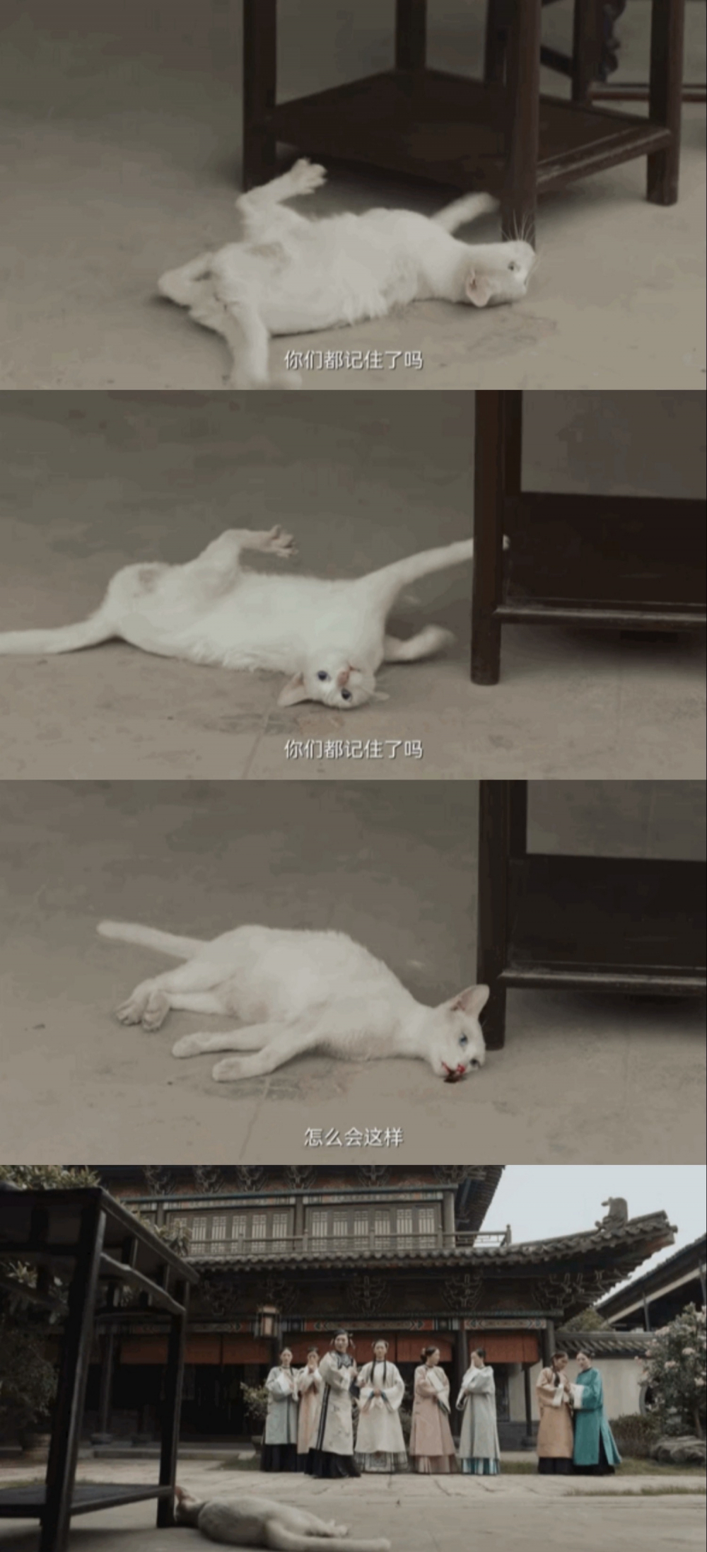 警方通报《当家主母》剧组“虐猫”一事:致猫死亡等事实不成立,造谣者被拘休闲区蓝鸢梦想 - Www.slyday.coM 警方通报《当家主母》剧组“虐猫”一事:致猫死亡等事实不成立,造谣者被拘休闲区蓝鸢梦想 - Www.slyday.coM