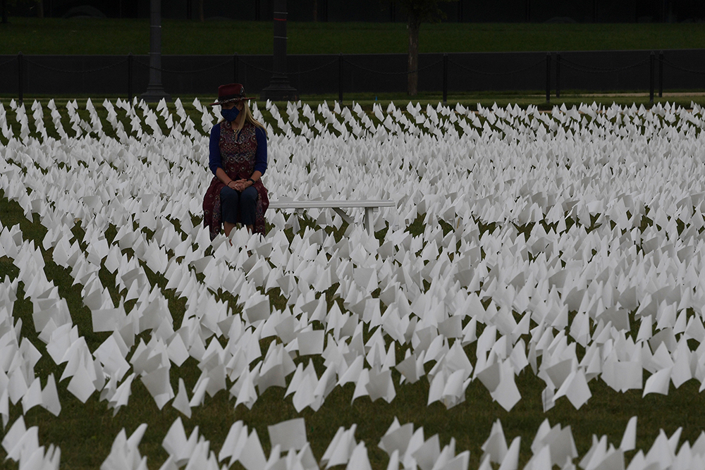 去年9月21日，华盛顿国家广场上竖起60多万面白色小旗帜祭奠因疫情去世的人 图自澎湃影像
