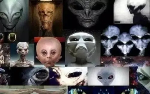 亲口承认！证据实锤！<a href=