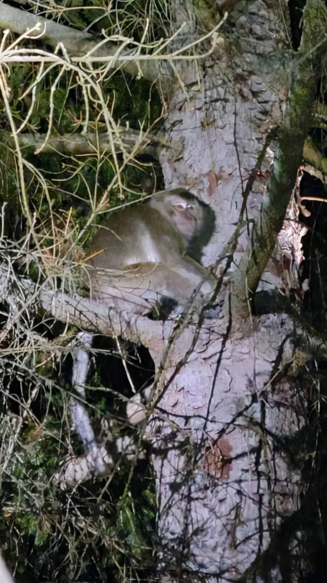 可怕的事情终于发生！女子接触<a href=