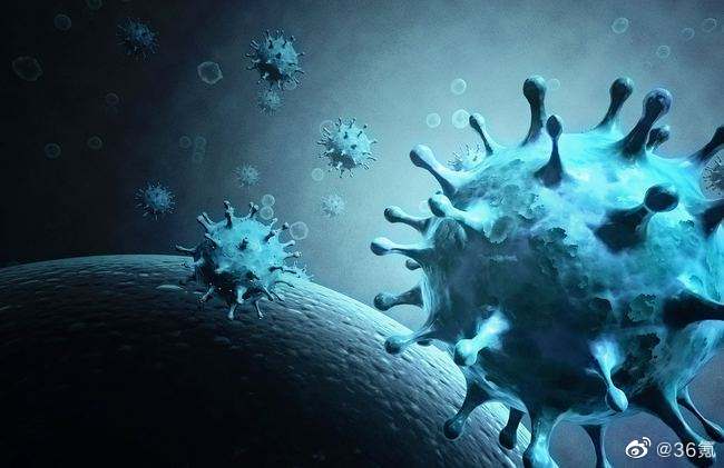 奥密克戎的妹妹:传播速度可能相对较快,但毒力不比奥密克戎强休闲区蓝鸢梦想 - Www.slyday.coM 奥密克戎的妹妹:传播速度可能相对较快,但毒力不比奥密克戎强休闲区蓝鸢梦想 - Www.slyday.coM