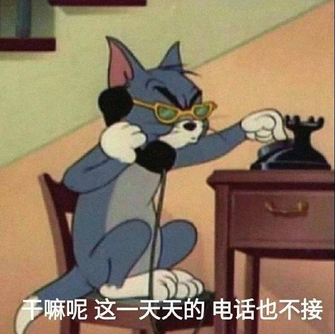 精选实用表情包干嘛呢这一天天的电话也不接嘿哟