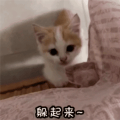 预警升级!大到暴雪休闲区蓝鸢梦想 - Www.slyday.coM 预警升级!大到暴雪休闲区蓝鸢梦想 - Www.slyday.coM