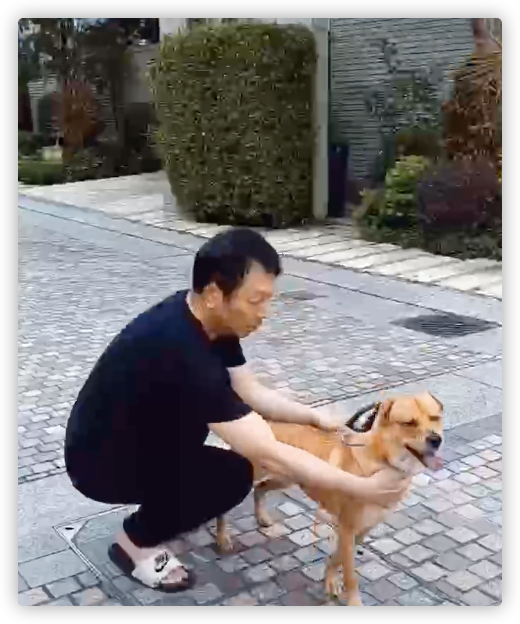 黎耀祥和妻子回港过年,别墅内景曝光引热议,曾自曝已在中山买房休闲区蓝鸢梦想 - Www.slyday.coM 黎耀祥和妻子回港过年,别墅内景曝光引热议,曾自曝已在中山买房休闲区蓝鸢梦想 - Www.slyday.coM