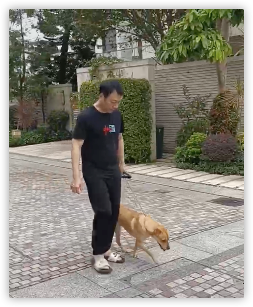 黎耀祥和妻子回港过年,别墅内景曝光引热议,曾自曝已在中山买房休闲区蓝鸢梦想 - Www.slyday.coM 黎耀祥和妻子回港过年,别墅内景曝光引热议,曾自曝已在中山买房休闲区蓝鸢梦想 - Www.slyday.coM