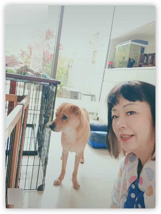 黎耀祥和妻子回港过年,别墅内景曝光引热议,曾自曝已在中山买房休闲区蓝鸢梦想 - Www.slyday.coM 黎耀祥和妻子回港过年,别墅内景曝光引热议,曾自曝已在中山买房休闲区蓝鸢梦想 - Www.slyday.coM