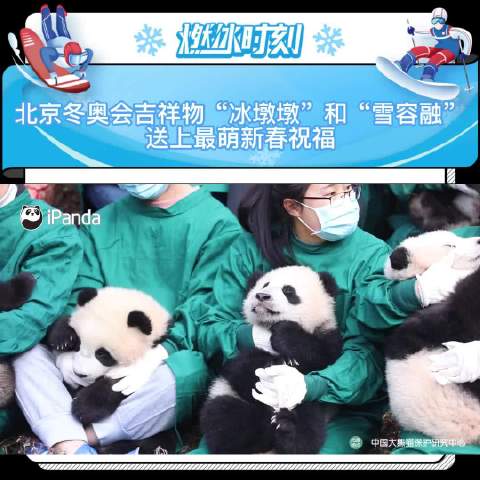 北京冬奥会吉祥物冰墩墩和雪容融送上最萌新春祝福