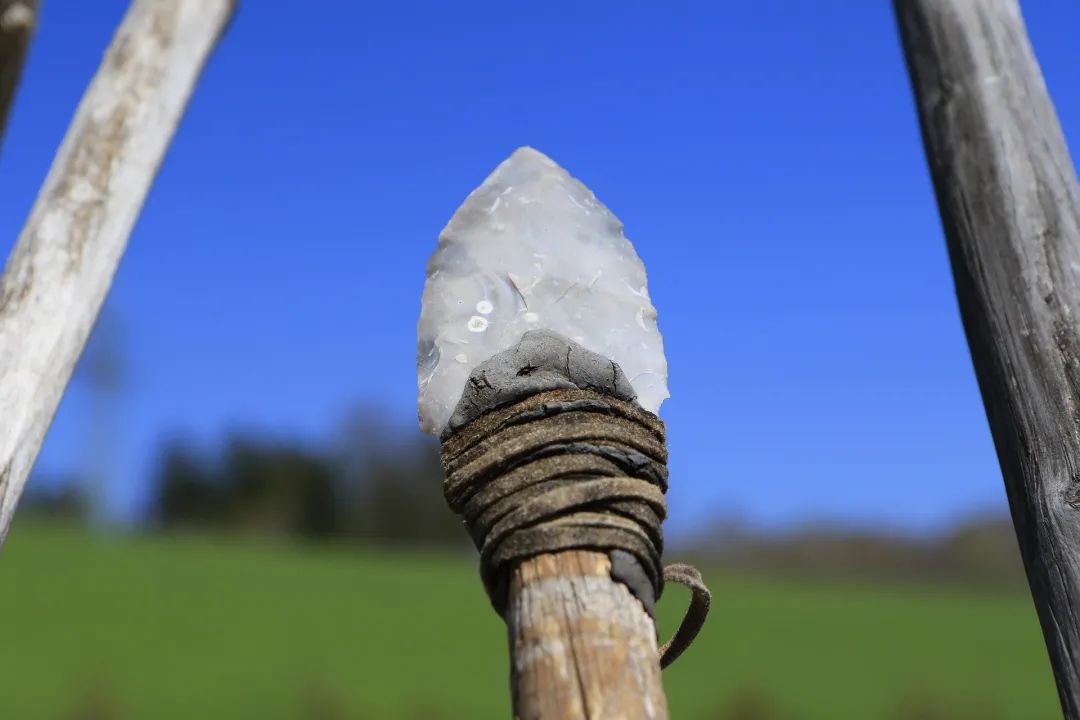 百科 | 是什么推动了人类历史进程?答案就在餐桌上 第2张 百科 | 是什么推动了人类历史进程?答案就在餐桌上 第2张