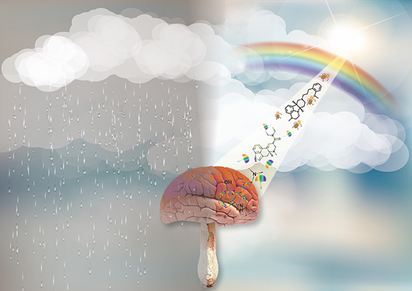 神奇蘑菇里的天然致幻剂有潜能,经改造后可以快速抗抑郁休闲区蓝鸢梦想 - Www.slyday.coM 神奇蘑菇里的天然致幻剂有潜能,经改造后可以快速抗抑郁休闲区蓝鸢梦想 - Www.slyday.coM