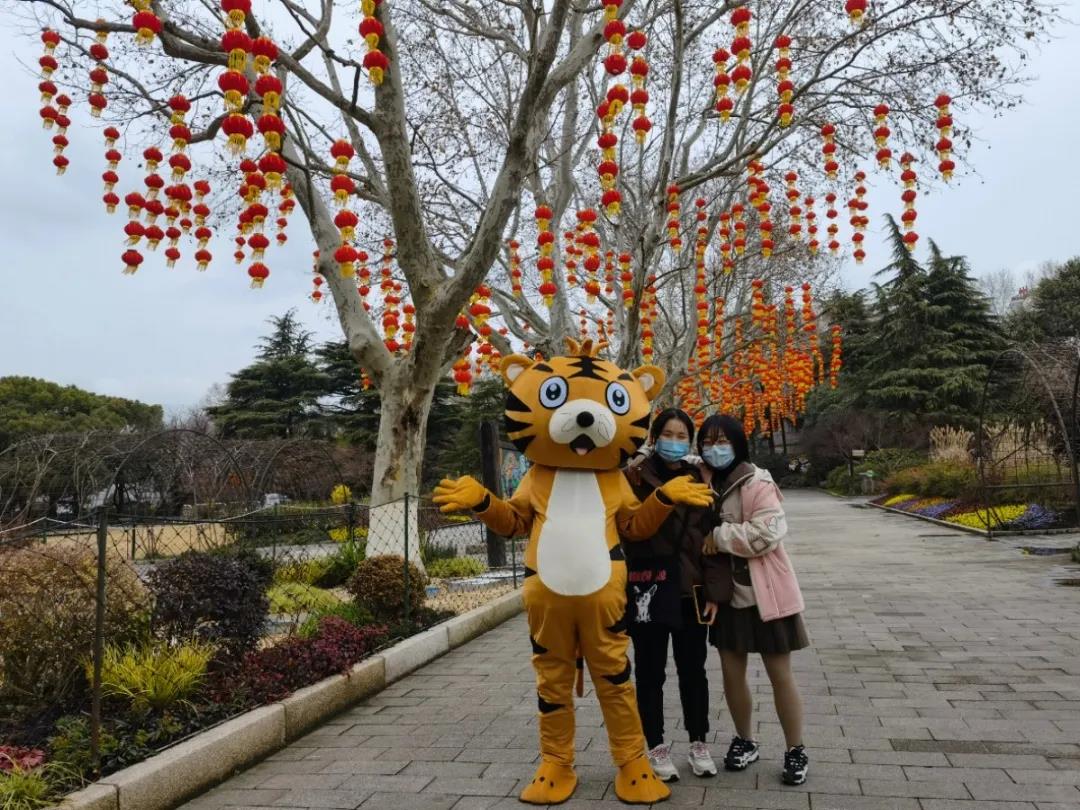 姓名中有“虎”字的市民可免费参观,上海动物园虎年生肖文化节来了休闲区蓝鸢梦想 - Www.slyday.coM 姓名中有“虎”字的市民可免费参观,上海动物园虎年生肖文化节来了休闲区蓝鸢梦想 - Www.slyday.coM