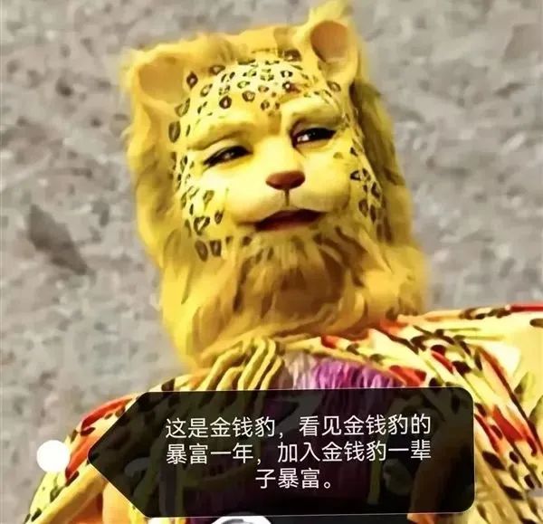 金钱豹的头像火了可是它的英文是moneybao吗