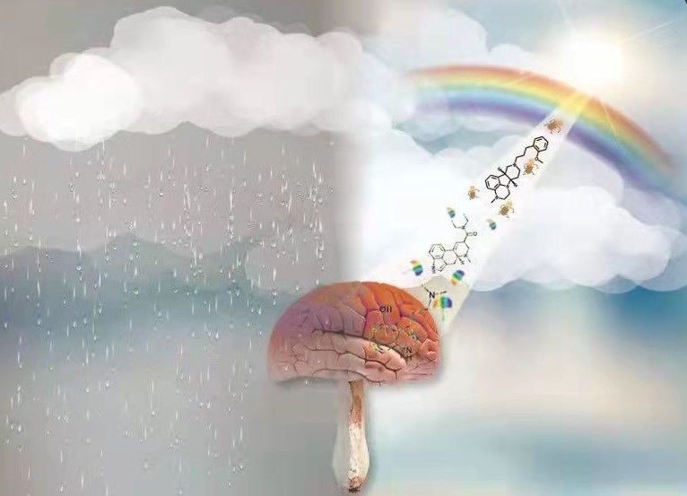 《科学》重磅:改善抑郁症一天起效?“致幻蘑菇”有望变身抗抑郁速效药休闲区蓝鸢梦想 - Www.slyday.coM 《科学》重磅:改善抑郁症一天起效?“致幻蘑菇”有望变身抗抑郁速效药休闲区蓝鸢梦想 - Www.slyday.coM