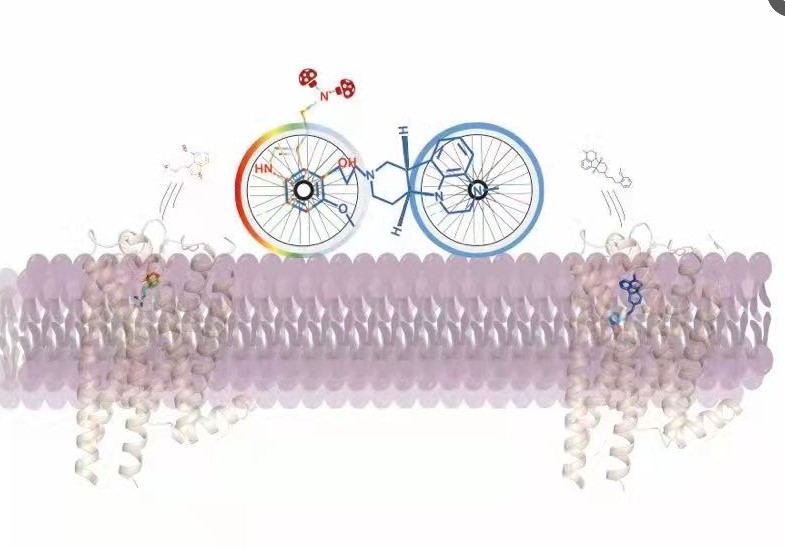 《科学》重磅:改善抑郁症一天起效?“致幻蘑菇”有望变身抗抑郁速效药休闲区蓝鸢梦想 - Www.slyday.coM 《科学》重磅:改善抑郁症一天起效?“致幻蘑菇”有望变身抗抑郁速效药休闲区蓝鸢梦想 - Www.slyday.coM
