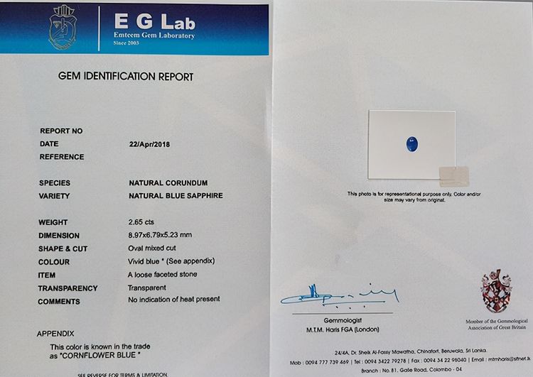 西南民族大学是几本 贸促会扶贫工作亮点