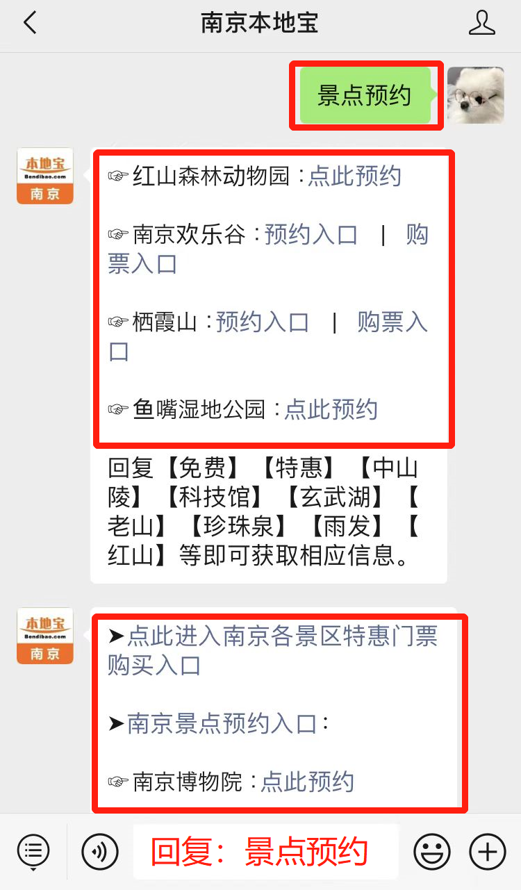 倒计时1天南京集体放假春节去哪玩这些热门景点都要预约购票抓紧安排