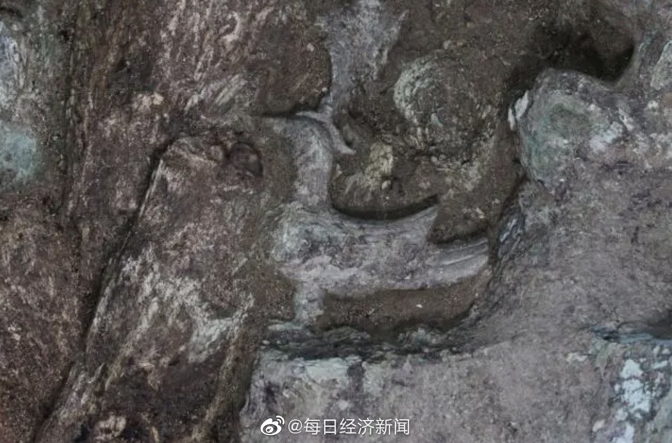 三星堆“盲盒”虎年上新:三星堆8号坑发现虎头龙身青铜像休闲区蓝鸢梦想 - Www.slyday.coM 三星堆“盲盒”虎年上新:三星堆8号坑发现虎头龙身青铜像休闲区蓝鸢梦想 - Www.slyday.coM