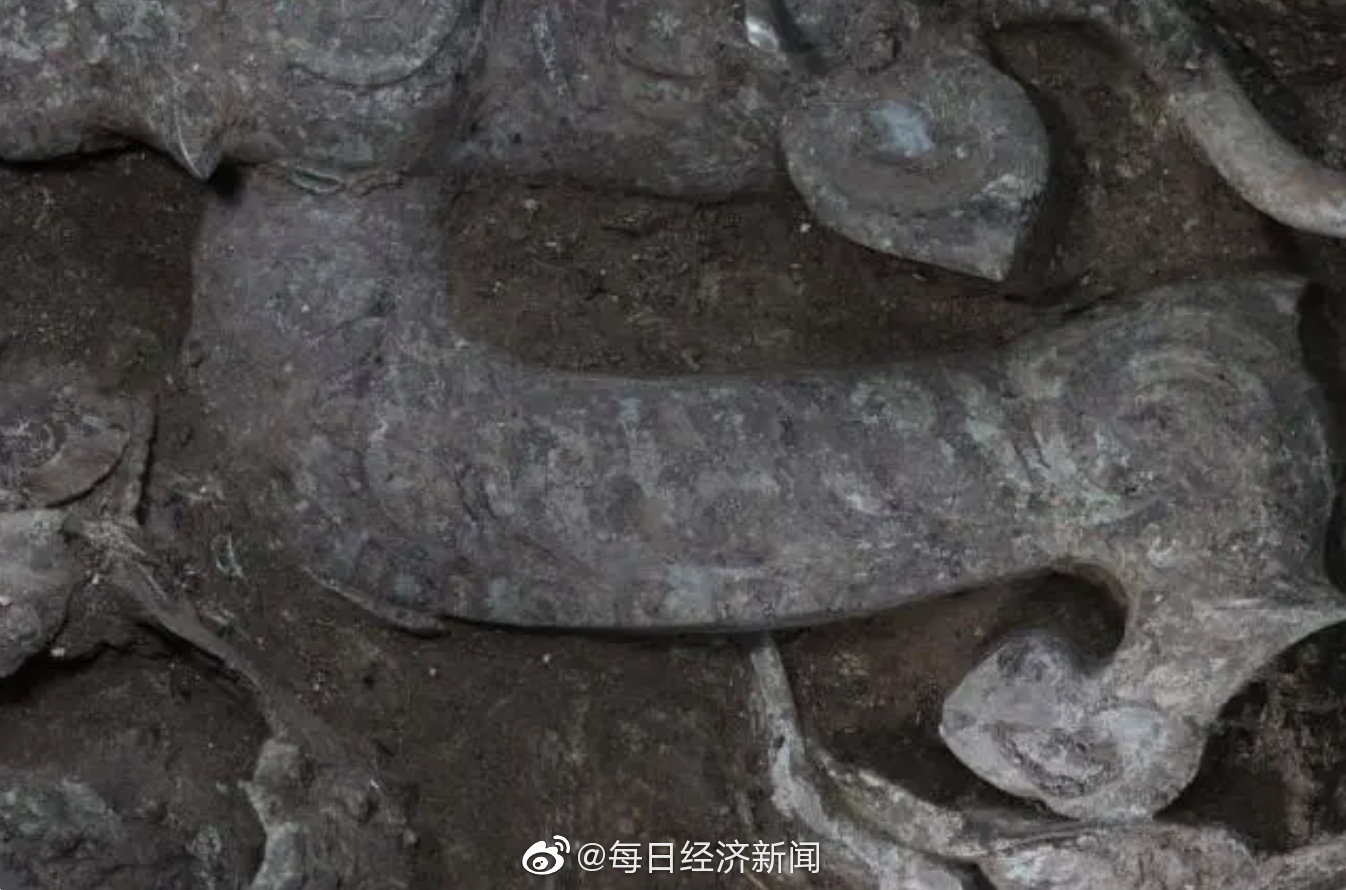 三星堆“盲盒”虎年上新:三星堆8号坑发现虎头龙身青铜像休闲区蓝鸢梦想 - Www.slyday.coM 三星堆“盲盒”虎年上新:三星堆8号坑发现虎头龙身青铜像休闲区蓝鸢梦想 - Www.slyday.coM