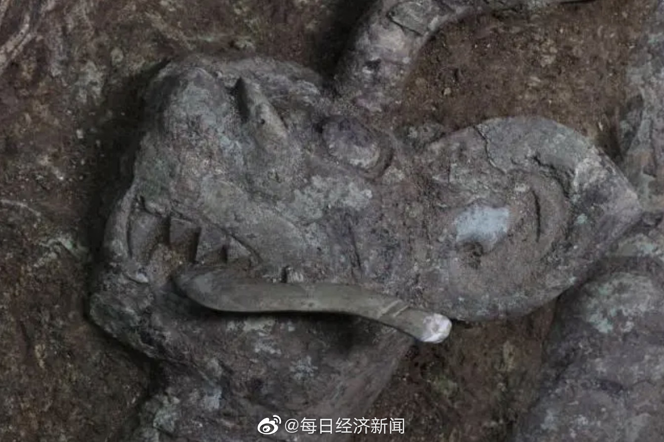 三星堆“盲盒”虎年上新:三星堆8号坑发现虎头龙身青铜像休闲区蓝鸢梦想 - Www.slyday.coM 三星堆“盲盒”虎年上新:三星堆8号坑发现虎头龙身青铜像休闲区蓝鸢梦想 - Www.slyday.coM