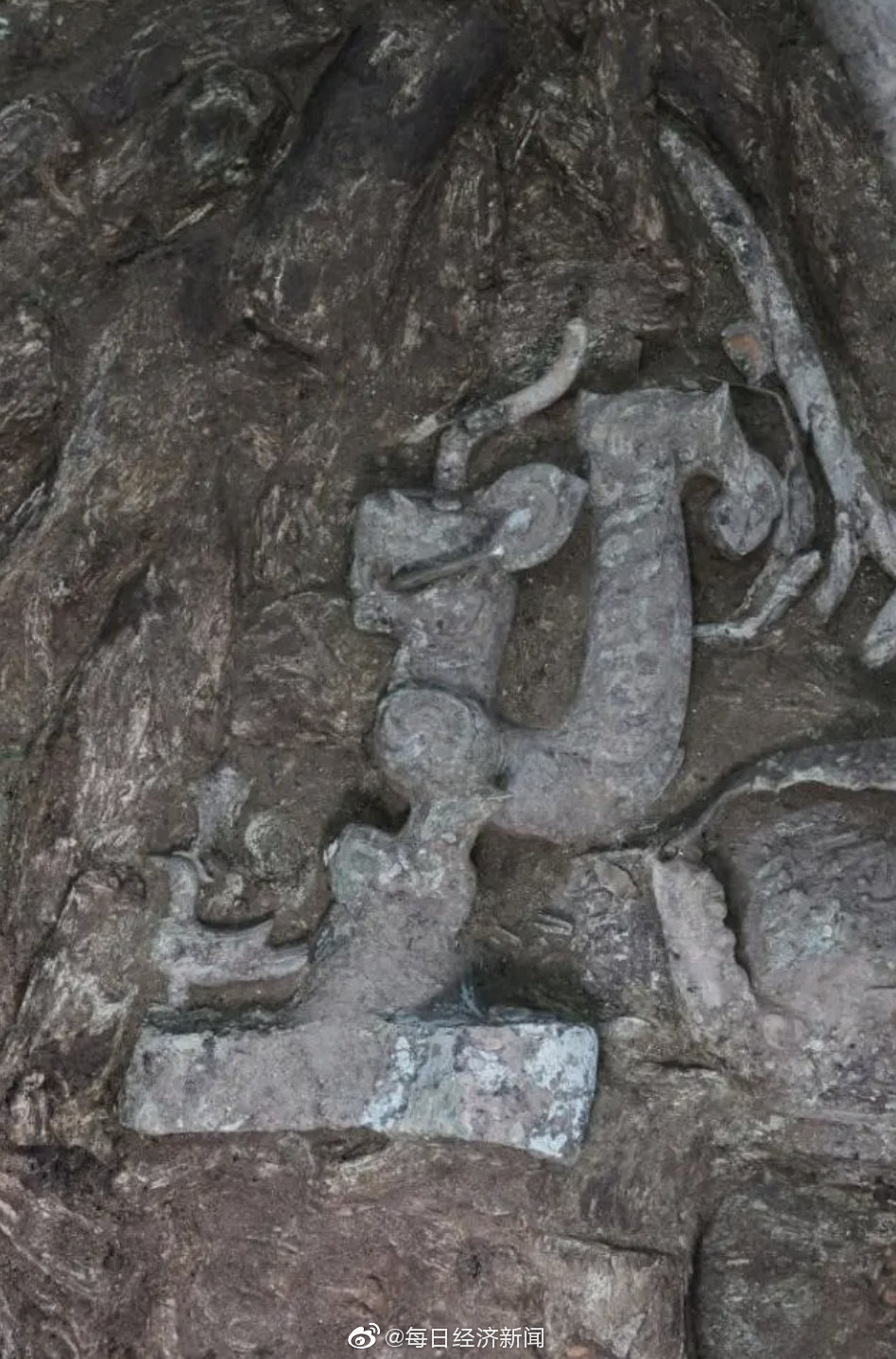 三星堆“盲盒”虎年上新:三星堆8号坑发现虎头龙身青铜像休闲区蓝鸢梦想 - Www.slyday.coM 三星堆“盲盒”虎年上新:三星堆8号坑发现虎头龙身青铜像休闲区蓝鸢梦想 - Www.slyday.coM