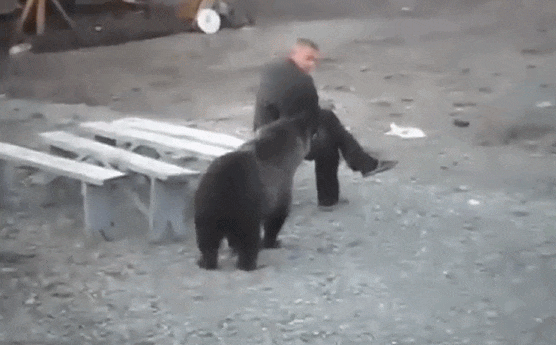 天津相声广播【现世报】据说虎年是所有猫的本命年休闲区蓝鸢梦想 - Www.slyday.coM 天津相声广播【现世报】据说虎年是所有猫的本命年休闲区蓝鸢梦想 - Www.slyday.coM