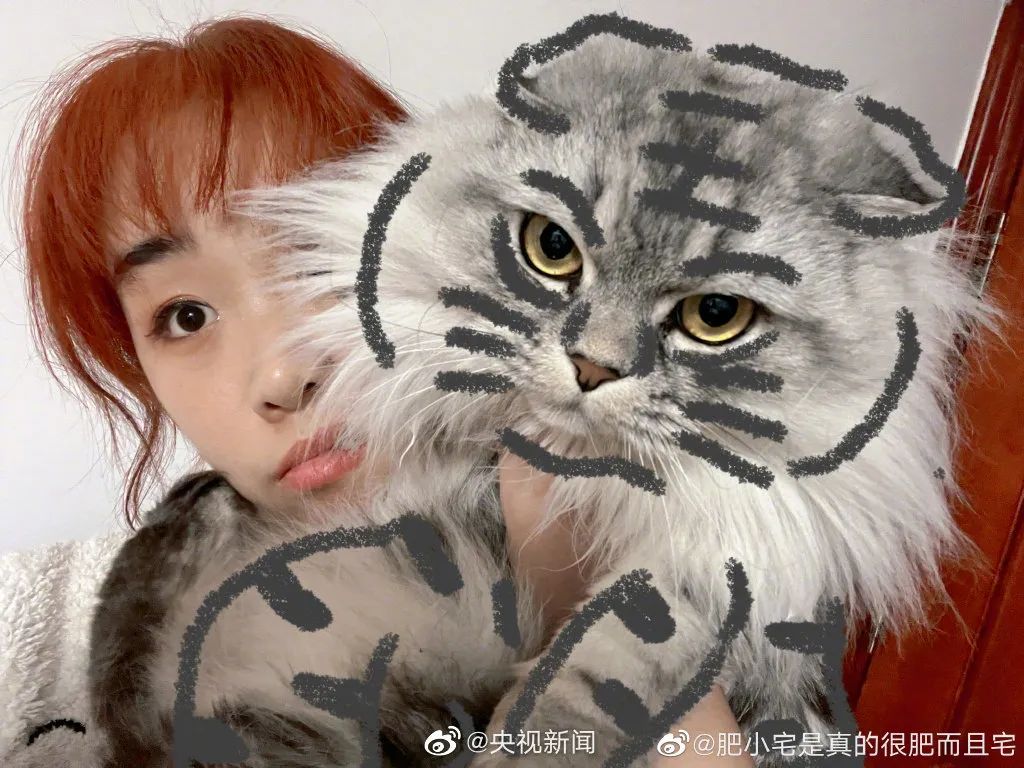 天津相声广播【现世报】据说虎年是所有猫的本命年休闲区蓝鸢梦想 - Www.slyday.coM 天津相声广播【现世报】据说虎年是所有猫的本命年休闲区蓝鸢梦想 - Www.slyday.coM