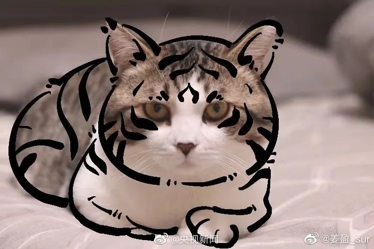 天津相声广播【现世报】据说虎年是所有猫的本命年休闲区蓝鸢梦想 - Www.slyday.coM 天津相声广播【现世报】据说虎年是所有猫的本命年休闲区蓝鸢梦想 - Www.slyday.coM