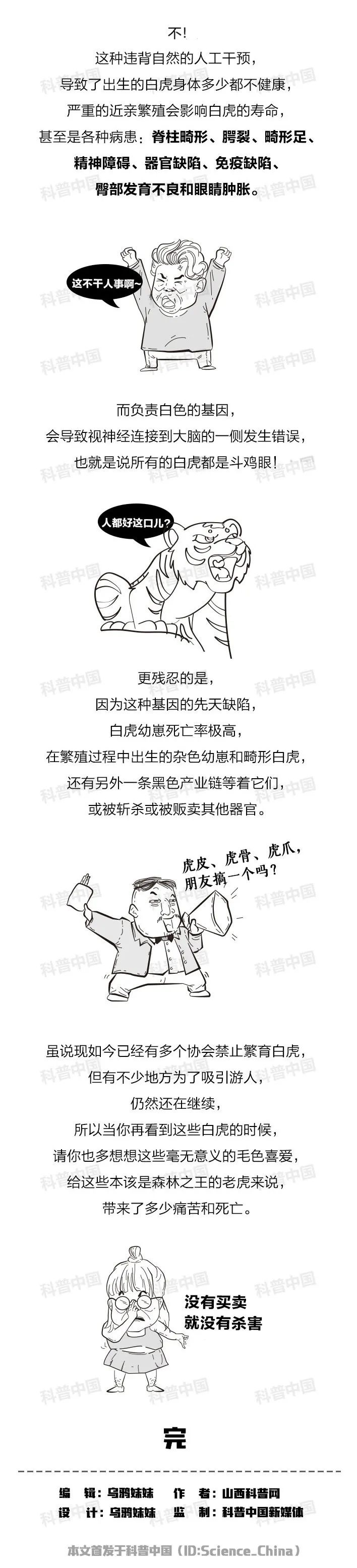 为什么有的老虎是白色的?背后的真相很少有人知道…休闲区蓝鸢梦想 - Www.slyday.coM 为什么有的老虎是白色的?背后的真相很少有人知道…休闲区蓝鸢梦想 - Www.slyday.coM