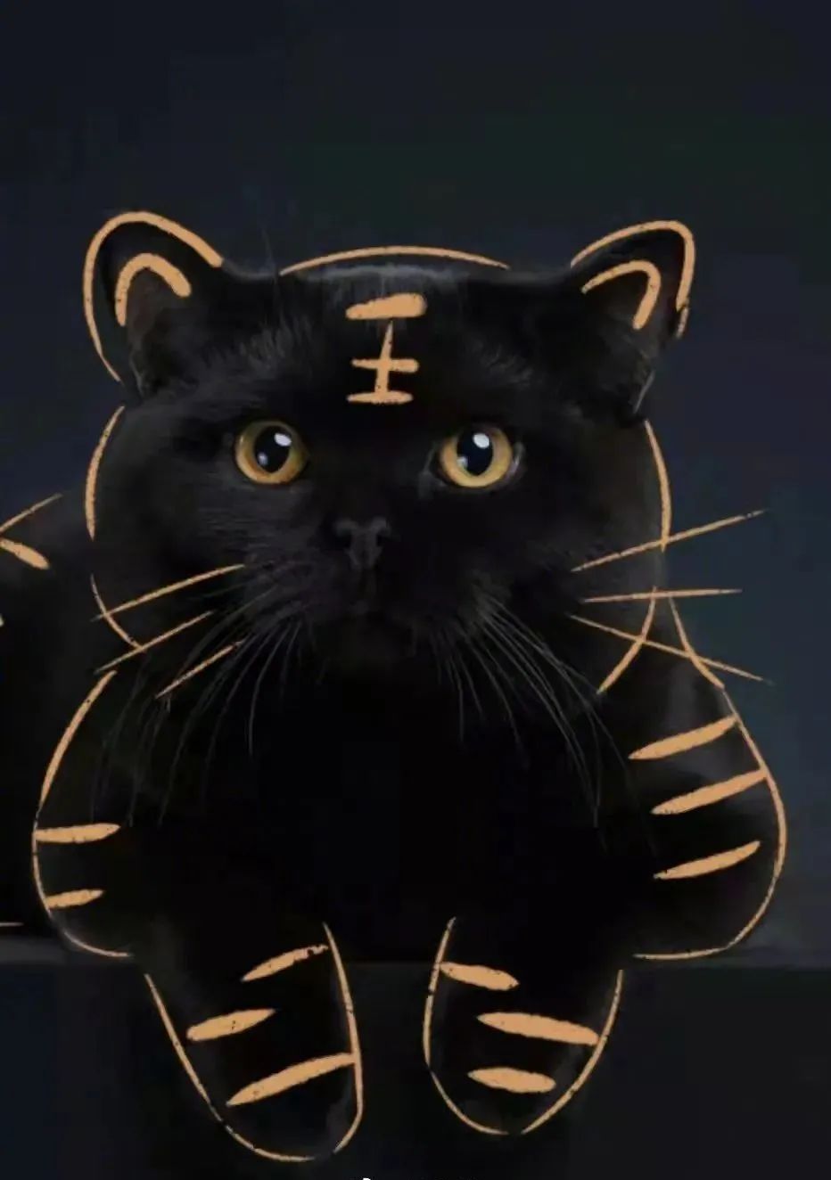 天津相声广播【现世报】据说虎年是所有猫的本命年休闲区蓝鸢梦想 - Www.slyday.coM 天津相声广播【现世报】据说虎年是所有猫的本命年休闲区蓝鸢梦想 - Www.slyday.coM