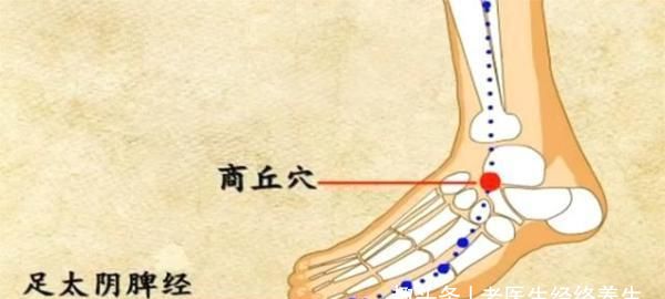 人体自带十二种药去火止咳通便消食不知道太可惜了