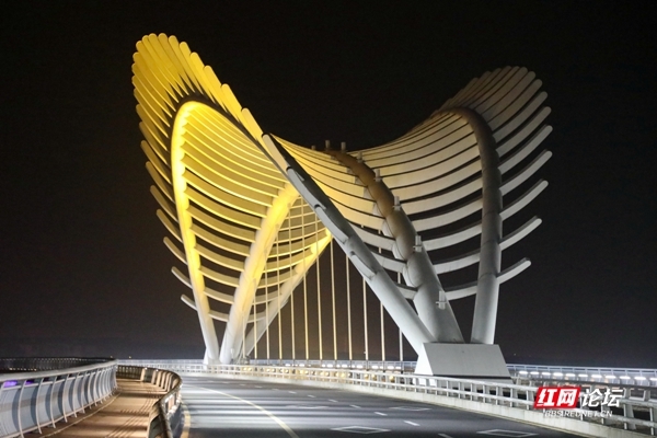 【每日一图】除夕之夜,常德龙头拱桥静谧绝美休闲区蓝鸢梦想 - Www.slyday.coM 【每日一图】除夕之夜,常德龙头拱桥静谧绝美休闲区蓝鸢梦想 - Www.slyday.coM