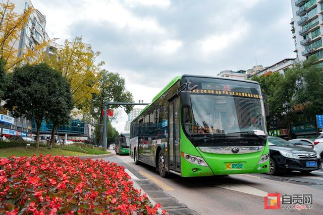 速速收藏!春节自贡观灯“4+2+1”公交专线攻略看这里休闲区蓝鸢梦想 - Www.slyday.coM 速速收藏!春节自贡观灯“4+2+1”公交专线攻略看这里休闲区蓝鸢梦想 - Www.slyday.coM