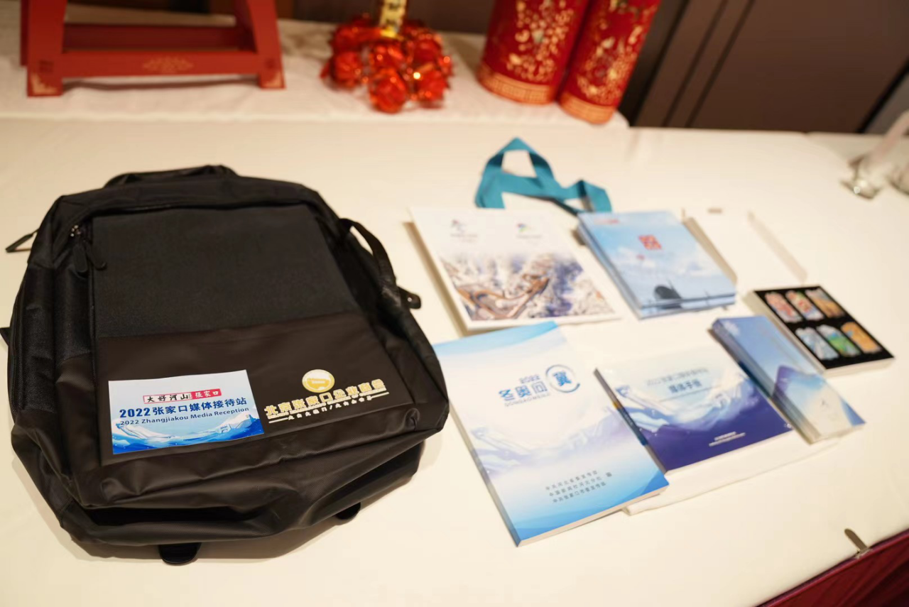 大年初一 张家口媒体接待站迎来首批记者休闲区蓝鸢梦想 - Www.slyday.coM 大年初一 张家口媒体接待站迎来首批记者休闲区蓝鸢梦想 - Www.slyday.coM