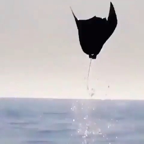 人类文明的等级到底是几级?什么时候才能飞出银河系?...