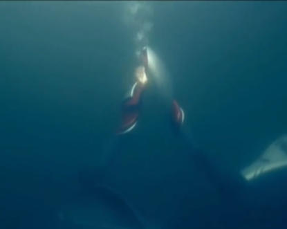 奥运史上首次:机器人在水下完成北京冬奥会火炬传递休闲区蓝鸢梦想 - Www.slyday.coM 奥运史上首次:机器人在水下完成北京冬奥会火炬传递休闲区蓝鸢梦想 - Www.slyday.coM