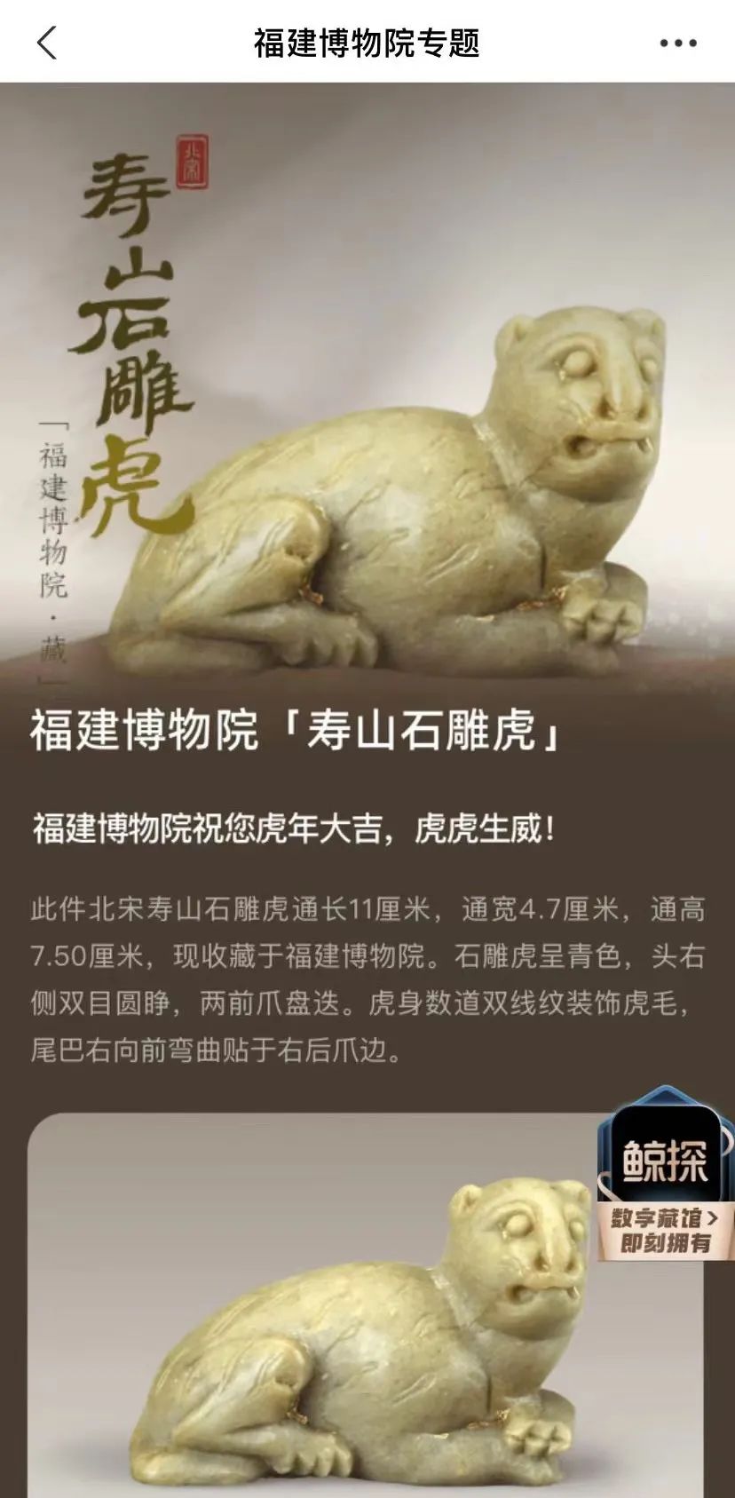 虎年新春,到福建博物院赏“老虎”,寻“福虎”!休闲区蓝鸢梦想 - Www.slyday.coM 虎年新春,到福建博物院赏“老虎”,寻“福虎”!休闲区蓝鸢梦想 - Www.slyday.coM