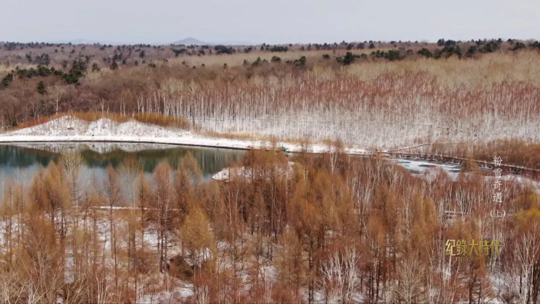 世间最纯净的粉雪在哪？这个<a href=